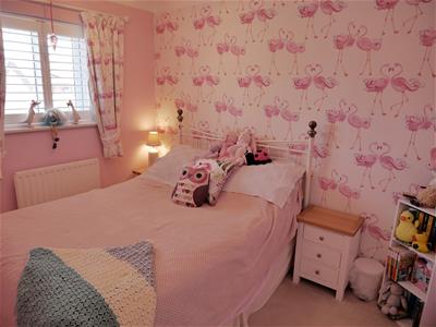 Picture 16